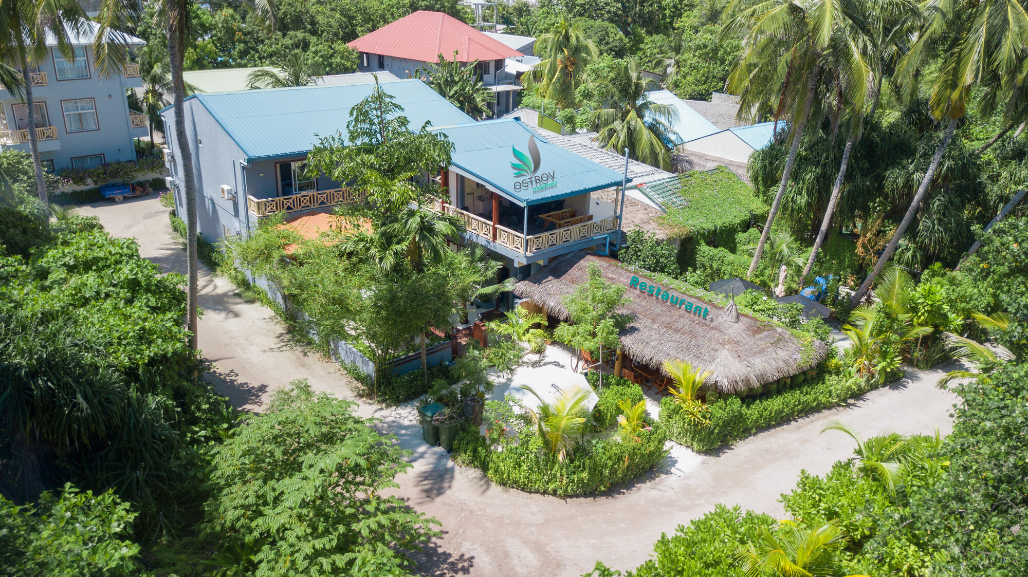 Ostrov Palm Villa garden and villa-style rooms
