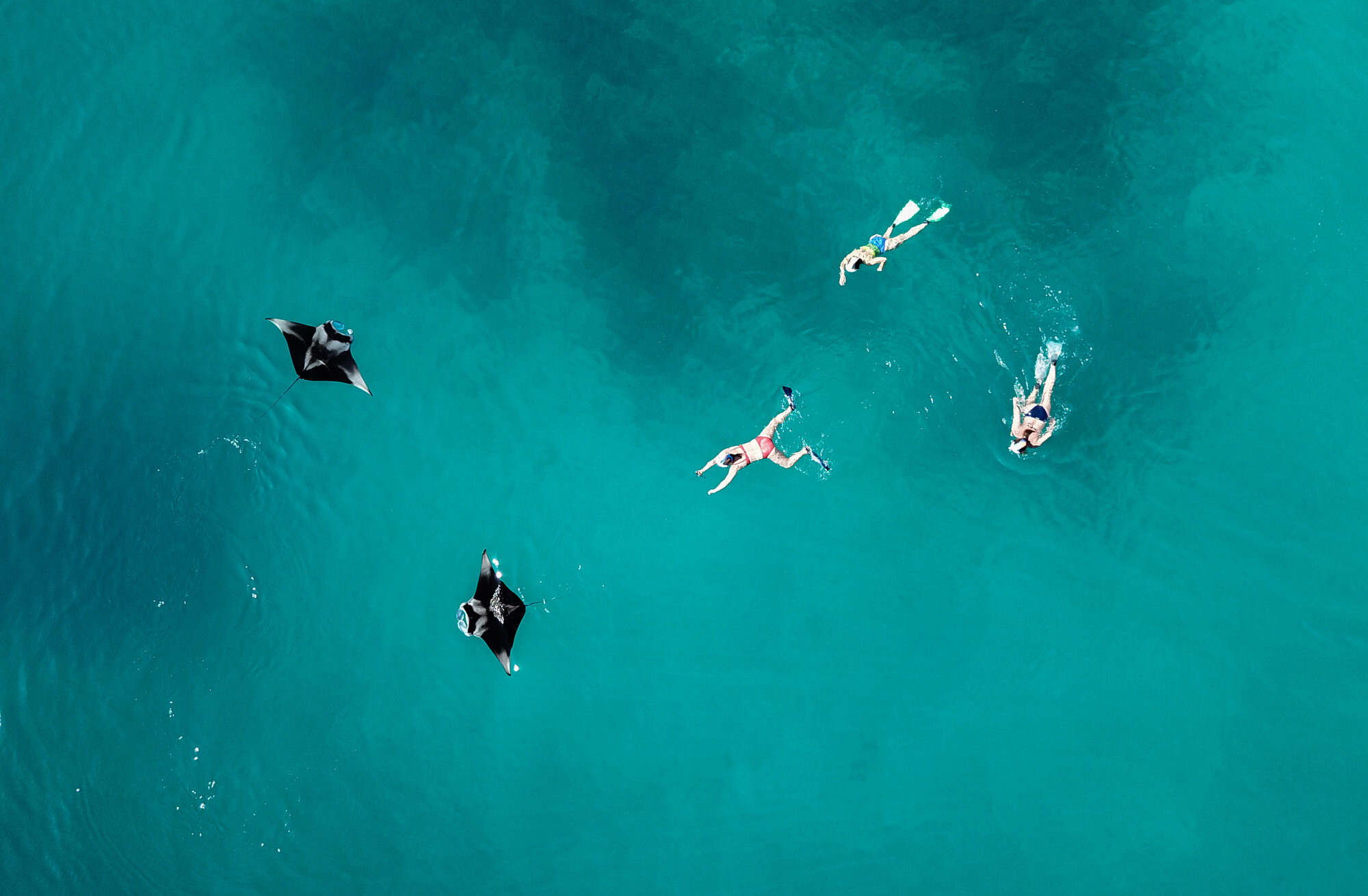 Snorkelers floating above a turquoise reef