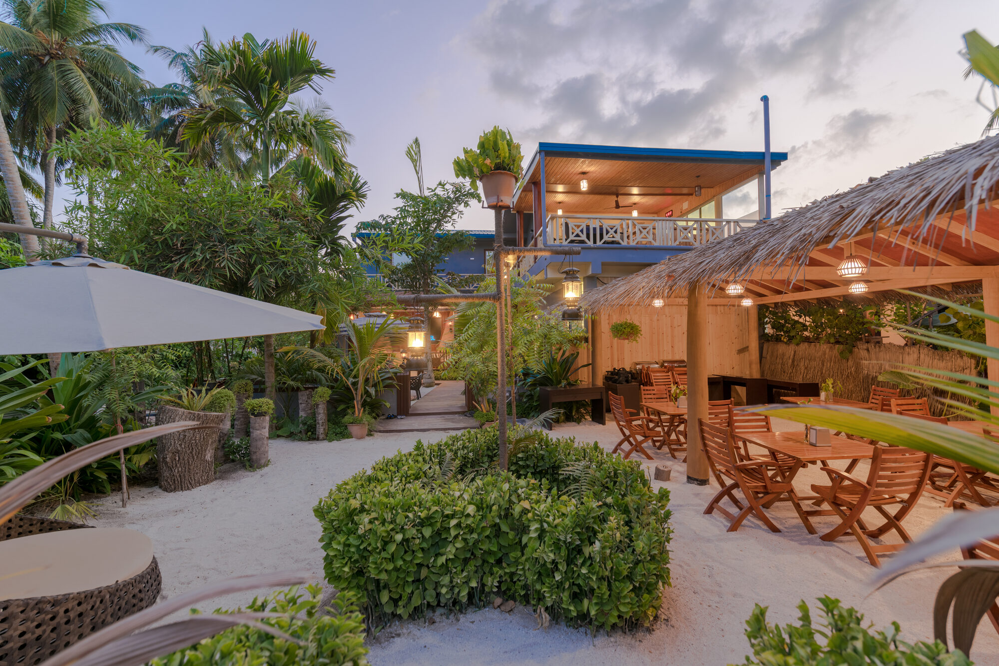 Ostrov Beach property nestled among palms on Ukulhas Island
