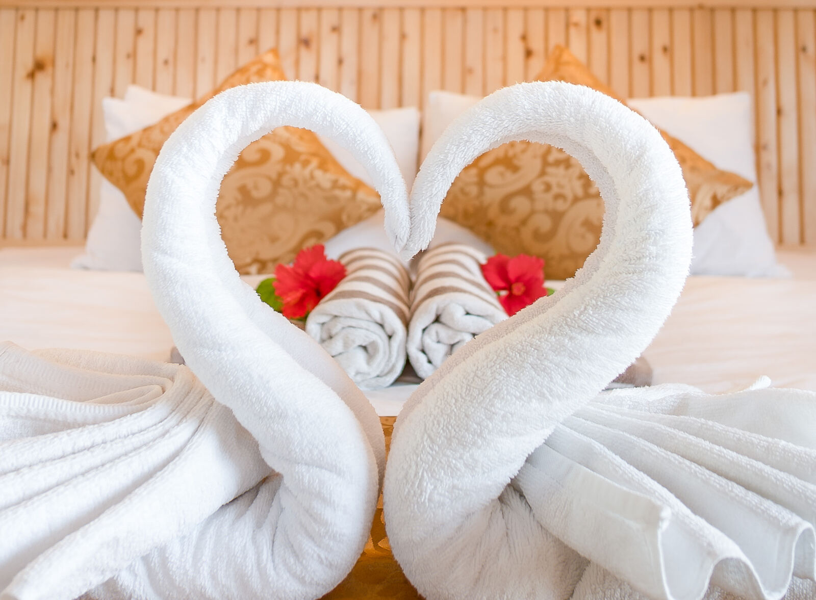 Suite Room