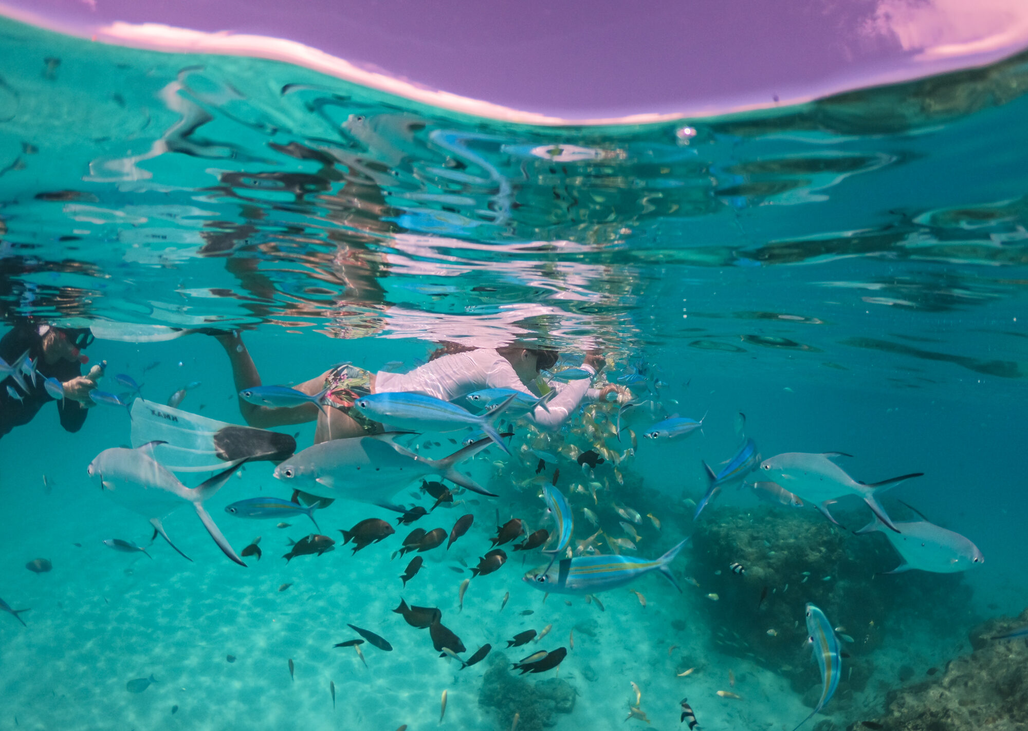 Snorkeler exploring the reef underwater